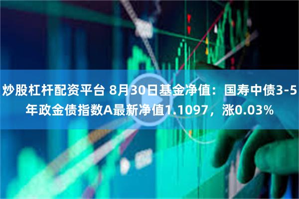 炒股杠杆配资平台 8月30日基金净值：国寿中债3-5年政金债指数A最新净值1.1097，涨0.03%