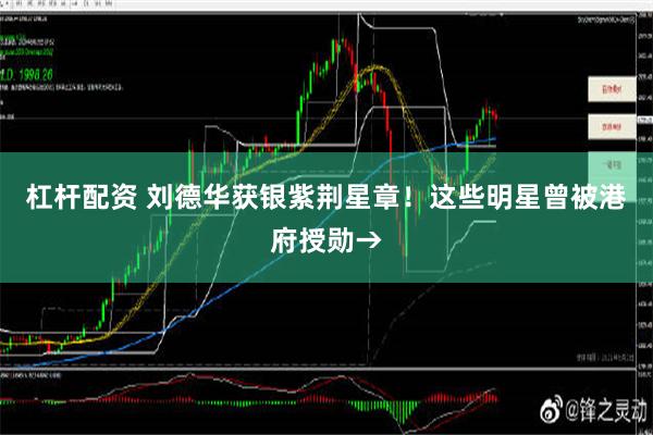 杠杆配资 刘德华获银紫荆星章！这些明星曾被港府授勋→