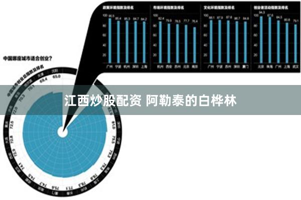 江西炒股配资 阿勒泰的白桦林