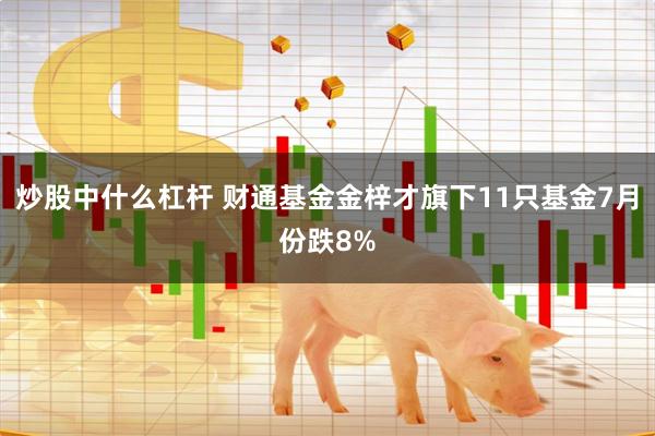 炒股中什么杠杆 财通基金金梓才旗下11只基金7月份跌8%