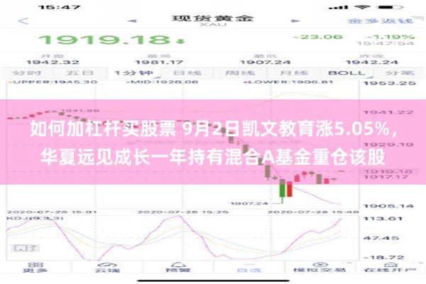 如何加杠杆买股票 9月2日凯文教育涨5.05%，华夏远见成长一年持有混合A基金重仓该股