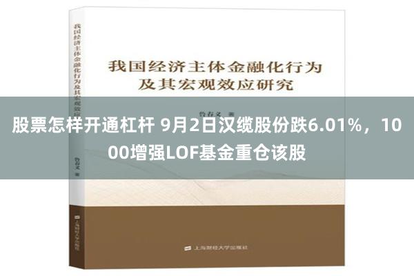 股票怎样开通杠杆 9月2日汉缆股份跌6.01%，1000增强LOF基金重仓该股