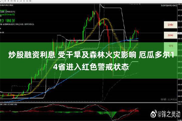 炒股融资利息 受干旱及森林火灾影响 厄瓜多尔14省进入红色警戒状态