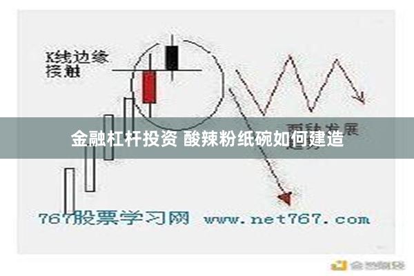 金融杠杆投资 酸辣粉纸碗如何建造