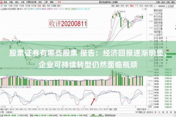 股票证券有哪些股票 报告：经济回报逐渐明显，企业可持续转型仍然面临瓶颈