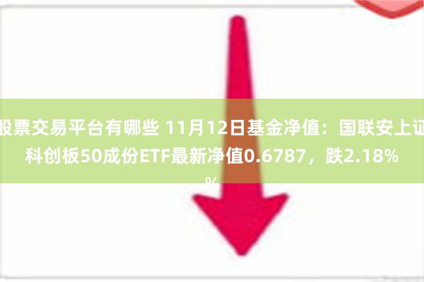 股票交易平台有哪些 11月12日基金净值：国联安上证科创板50成份ETF最新净值0.6787，跌2.18%