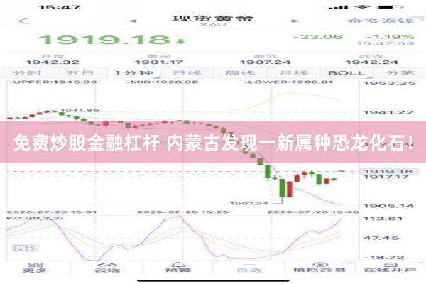 免费炒股金融杠杆 内蒙古发现一新属种恐龙化石！