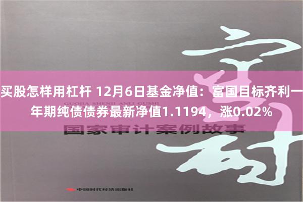 买股怎样用杠杆 12月6日基金净值：富国目标齐利一年期纯债债券最新净值1.1194，涨0.02%